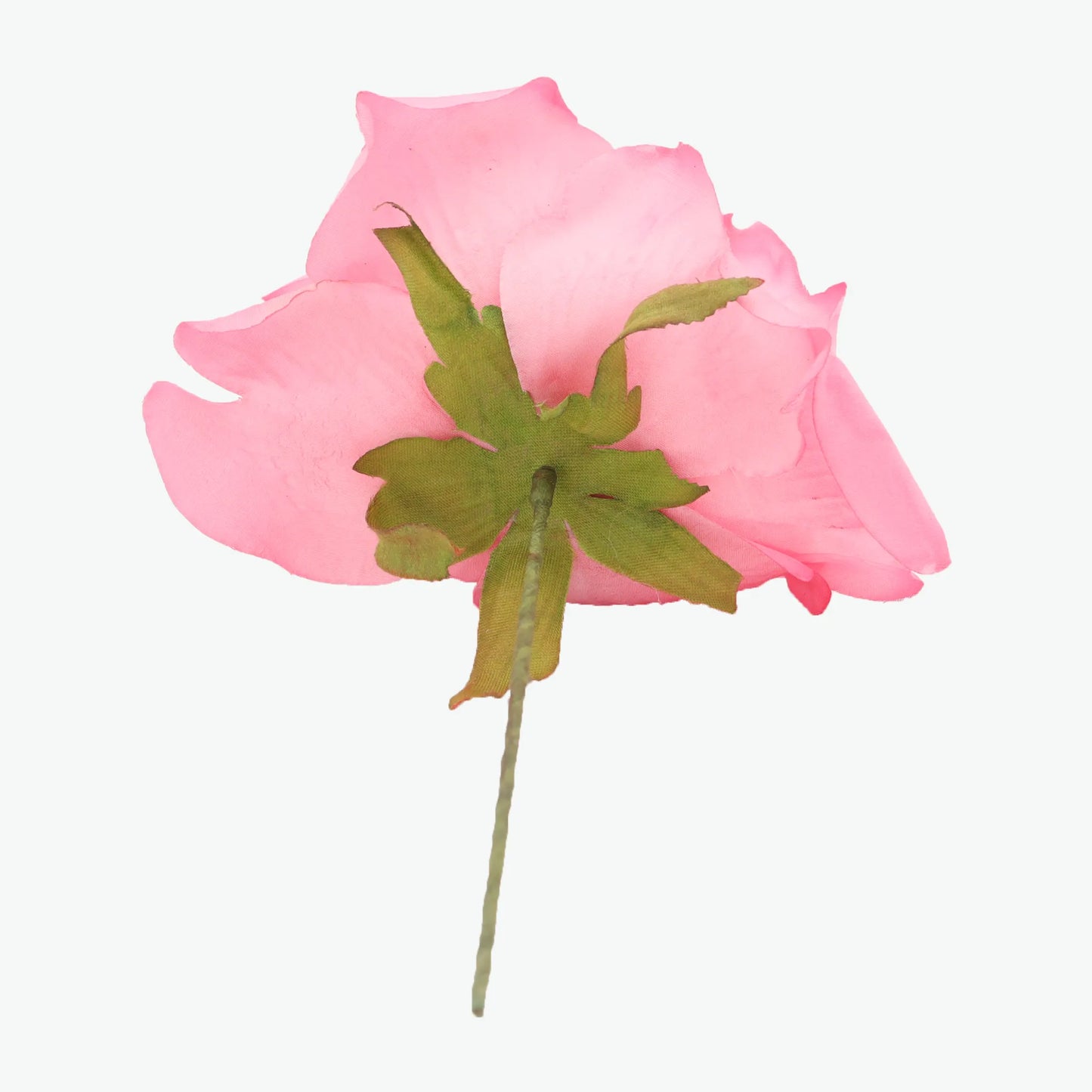 rose madeira