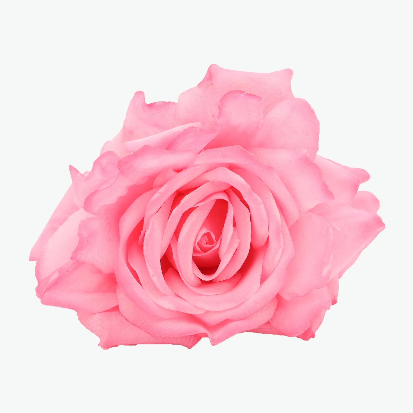 rose madeira
