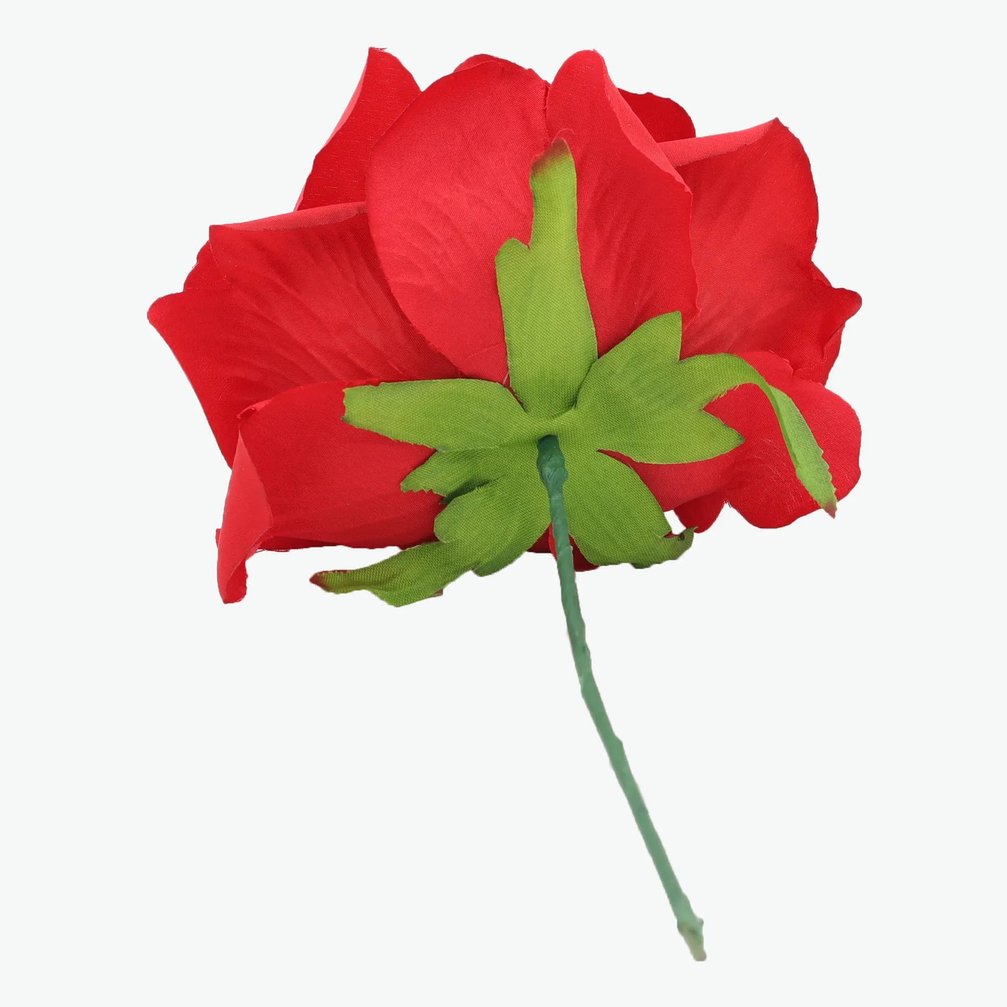 rose madeira