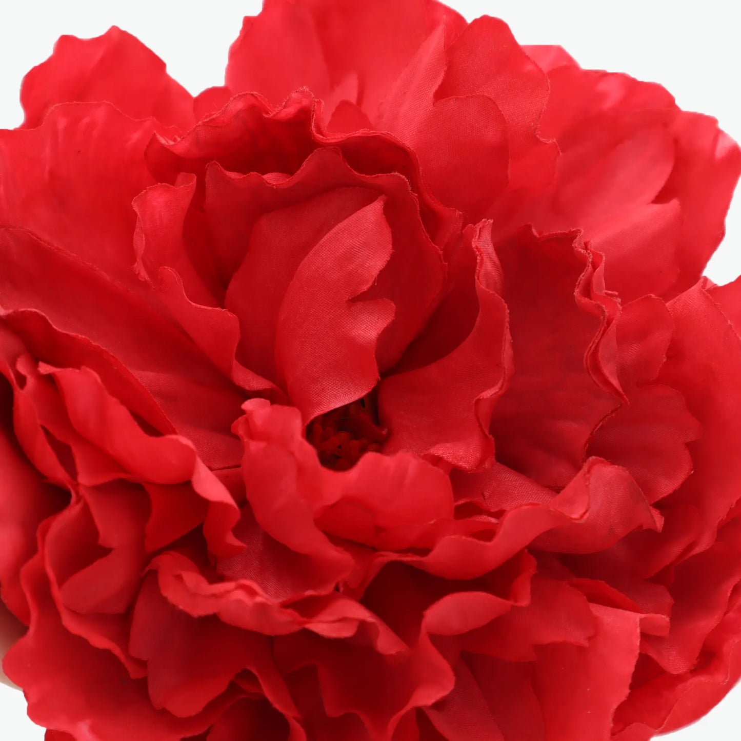 Dyed peony flowers