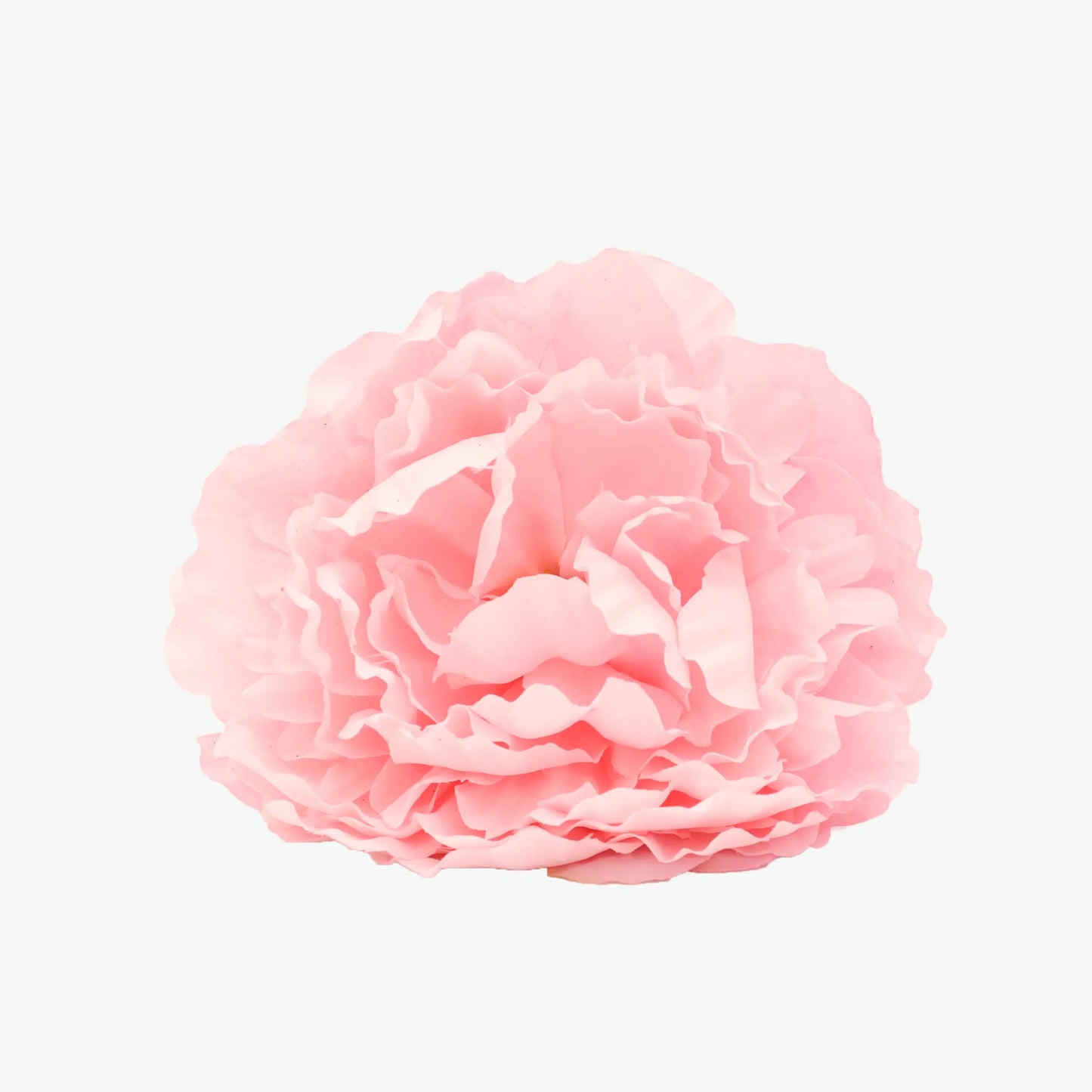 new peony