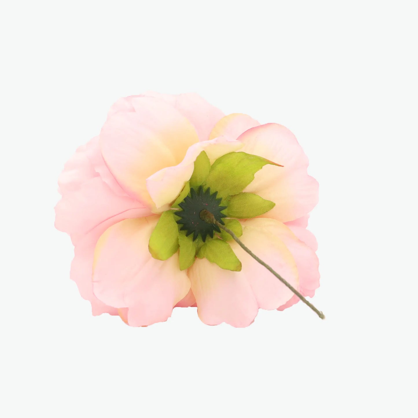 new peony