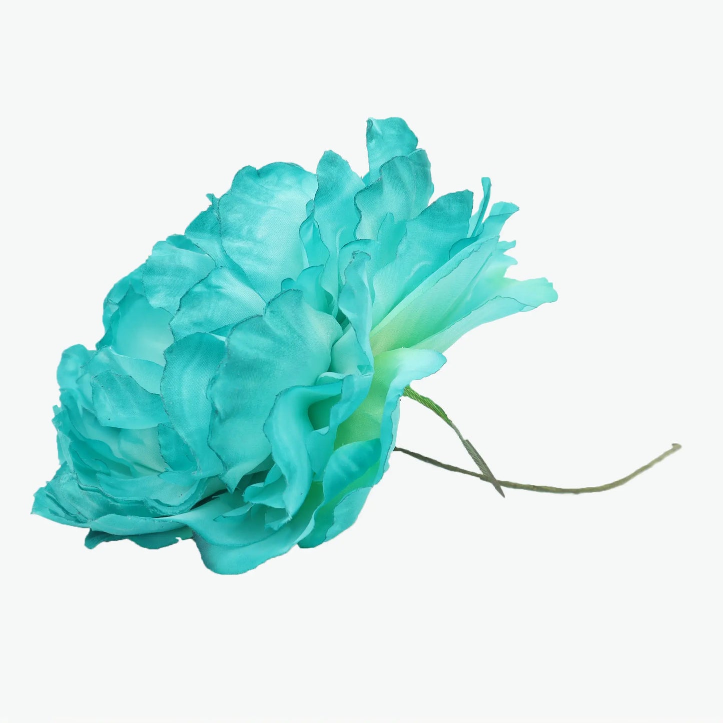 new peony