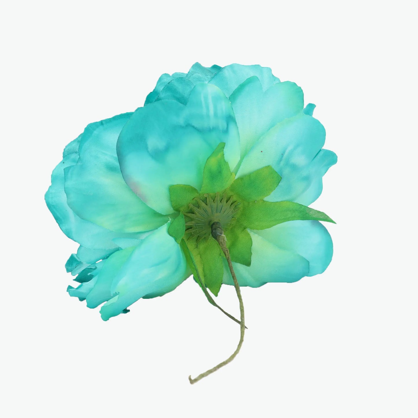 new peony