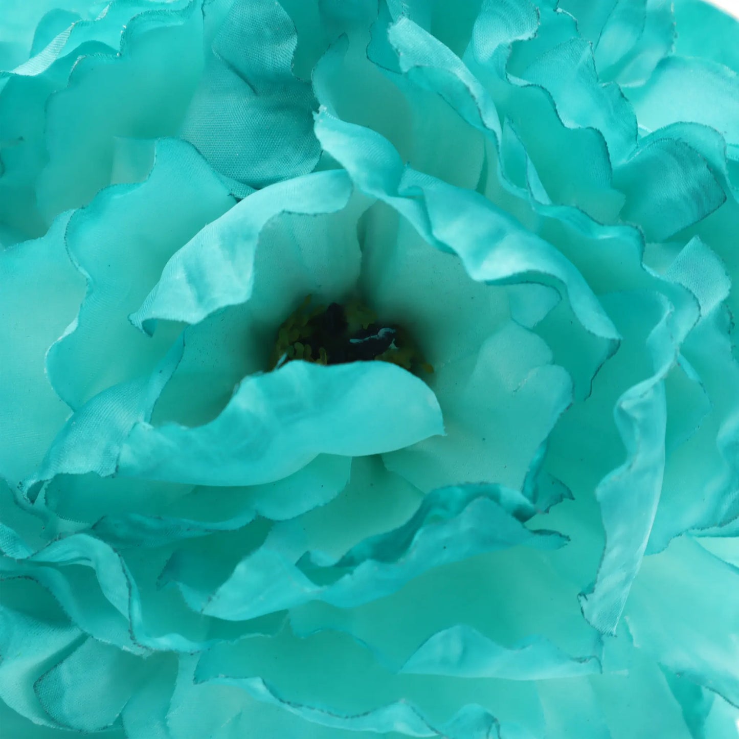 new peony