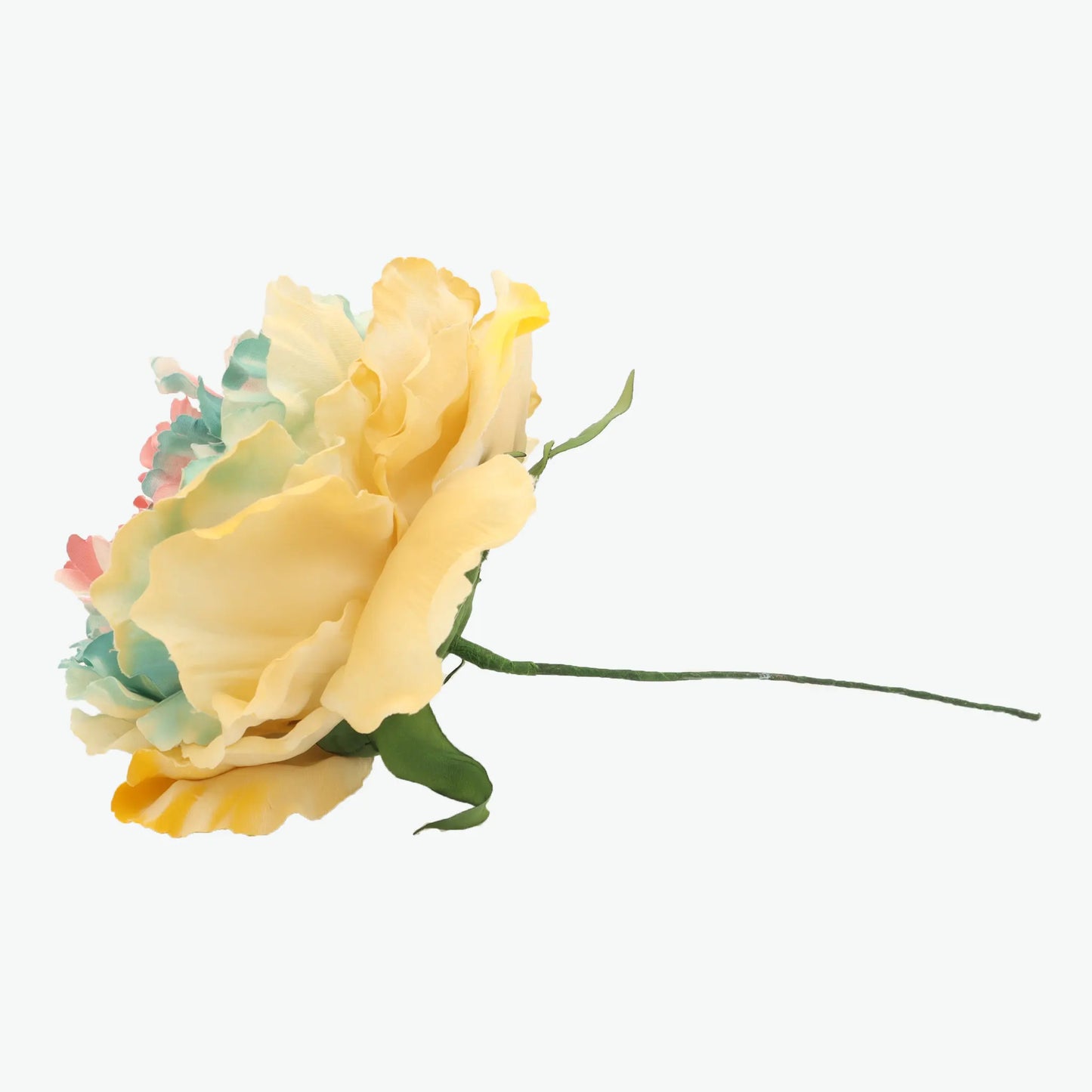 Dyed peony flowers