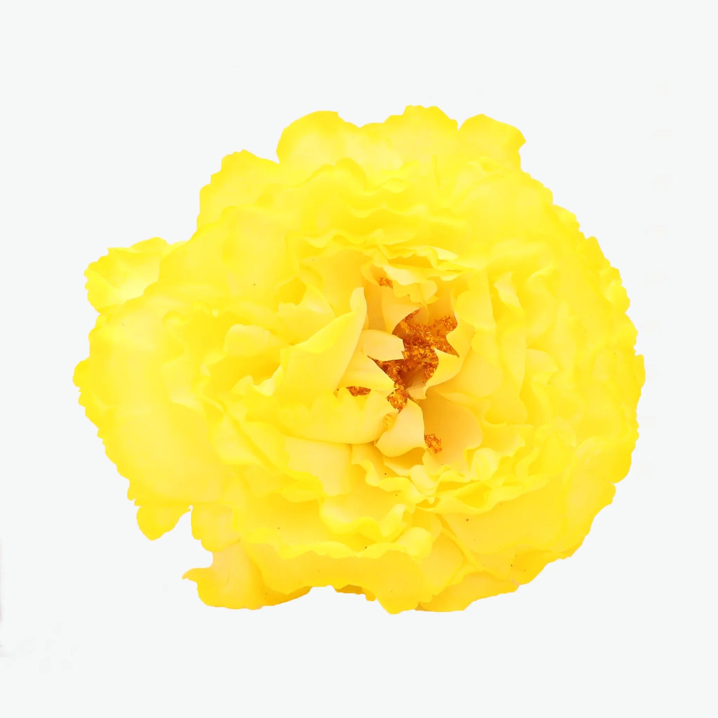 Dyed peony flowers