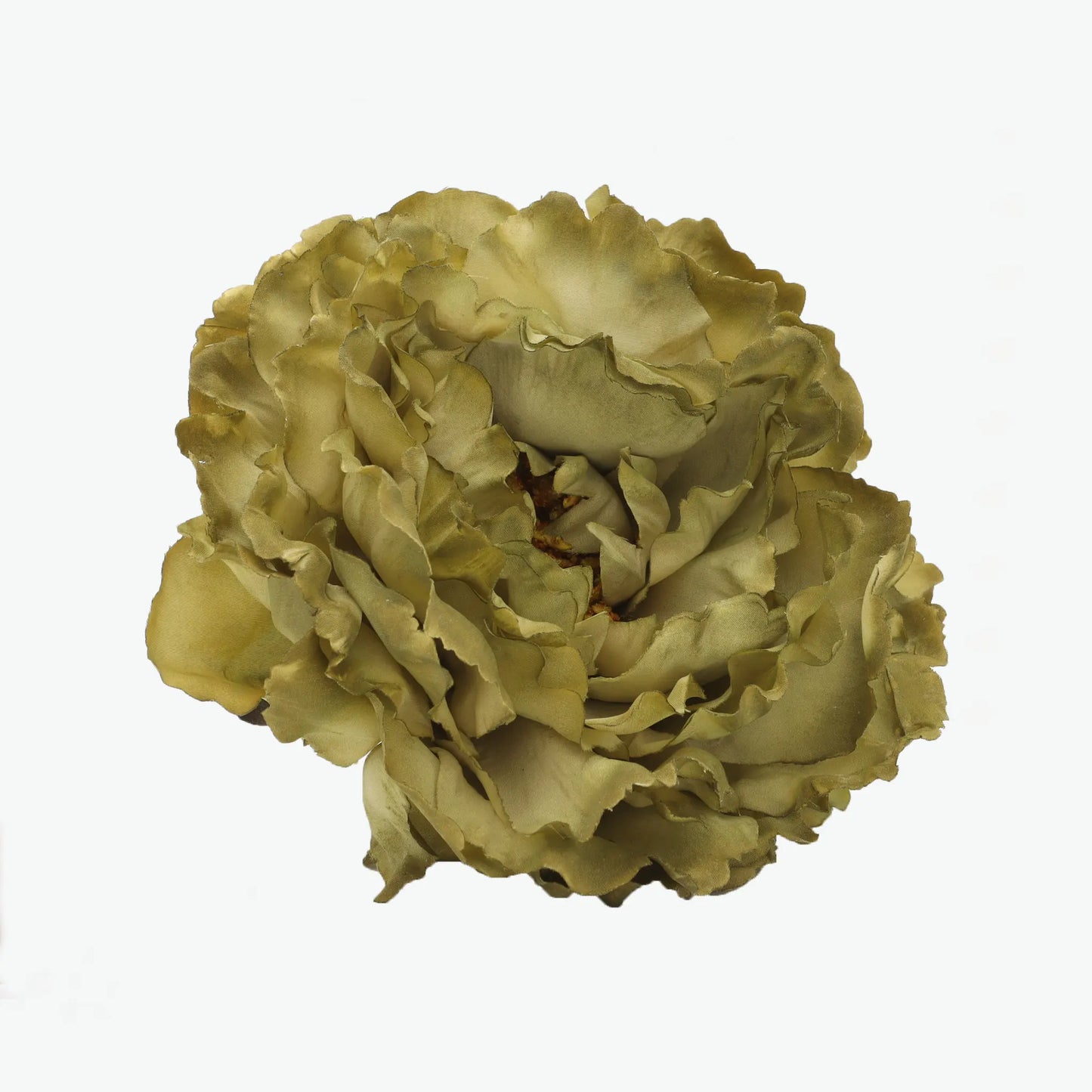 Dyed peony flowers