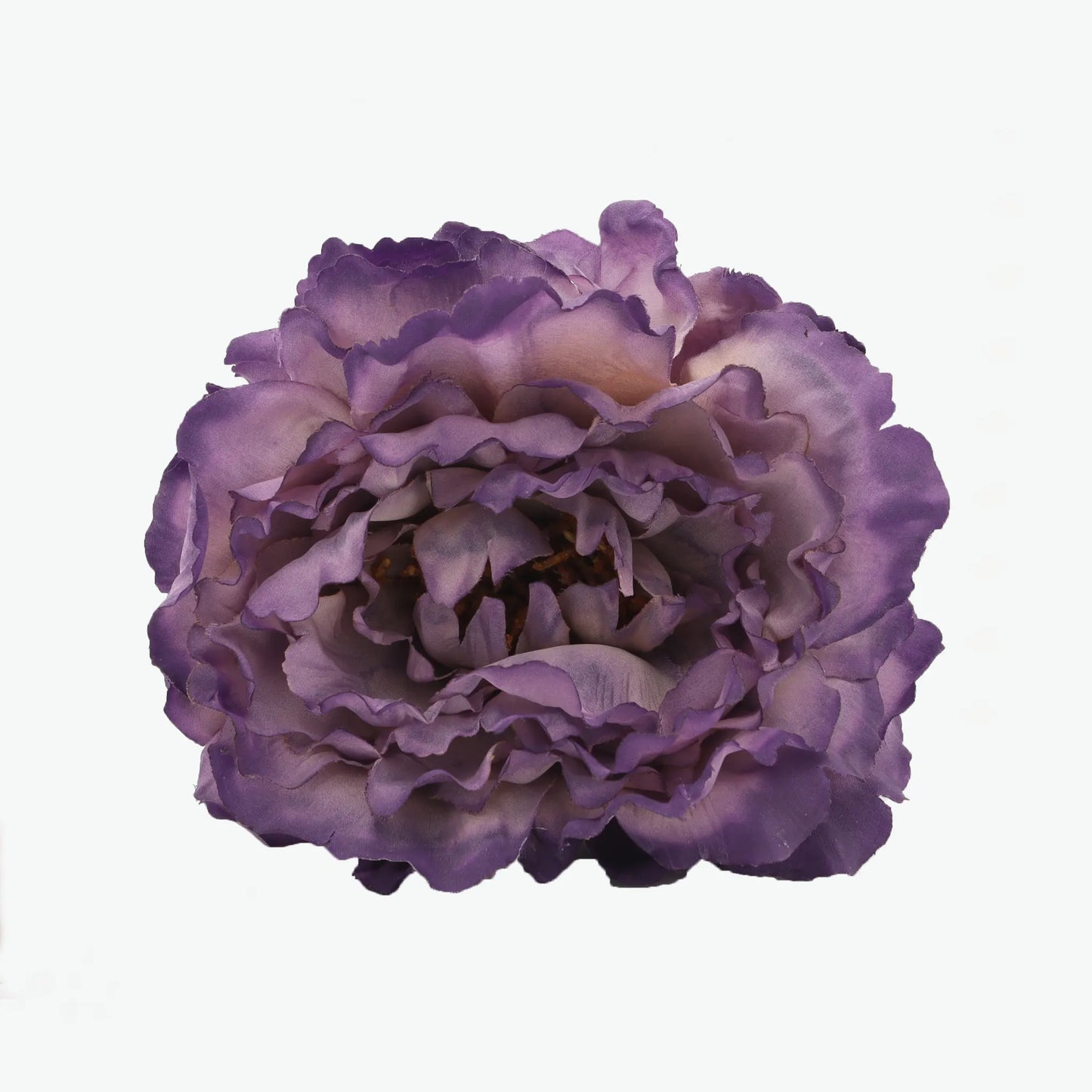 Dyed peony flowers