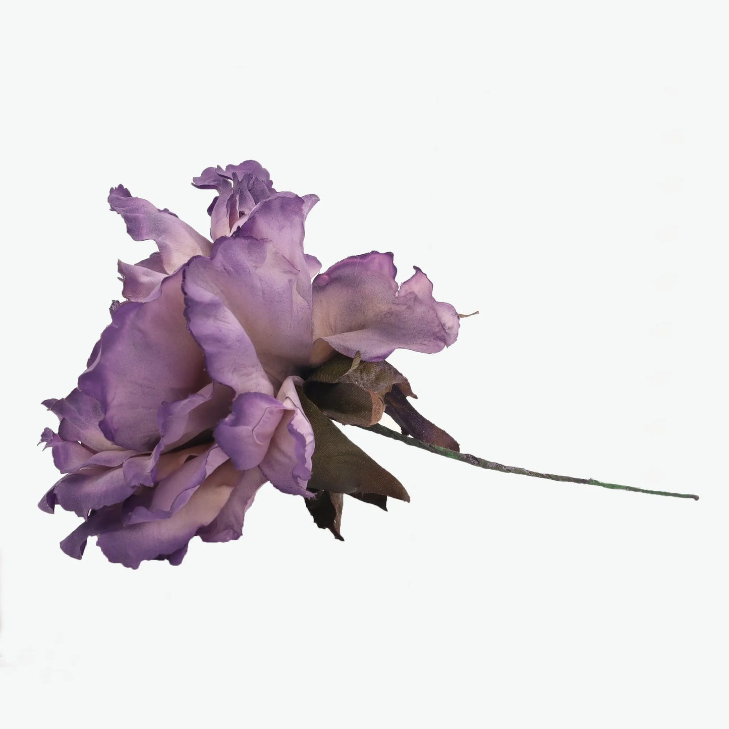 Dyed peony flowers
