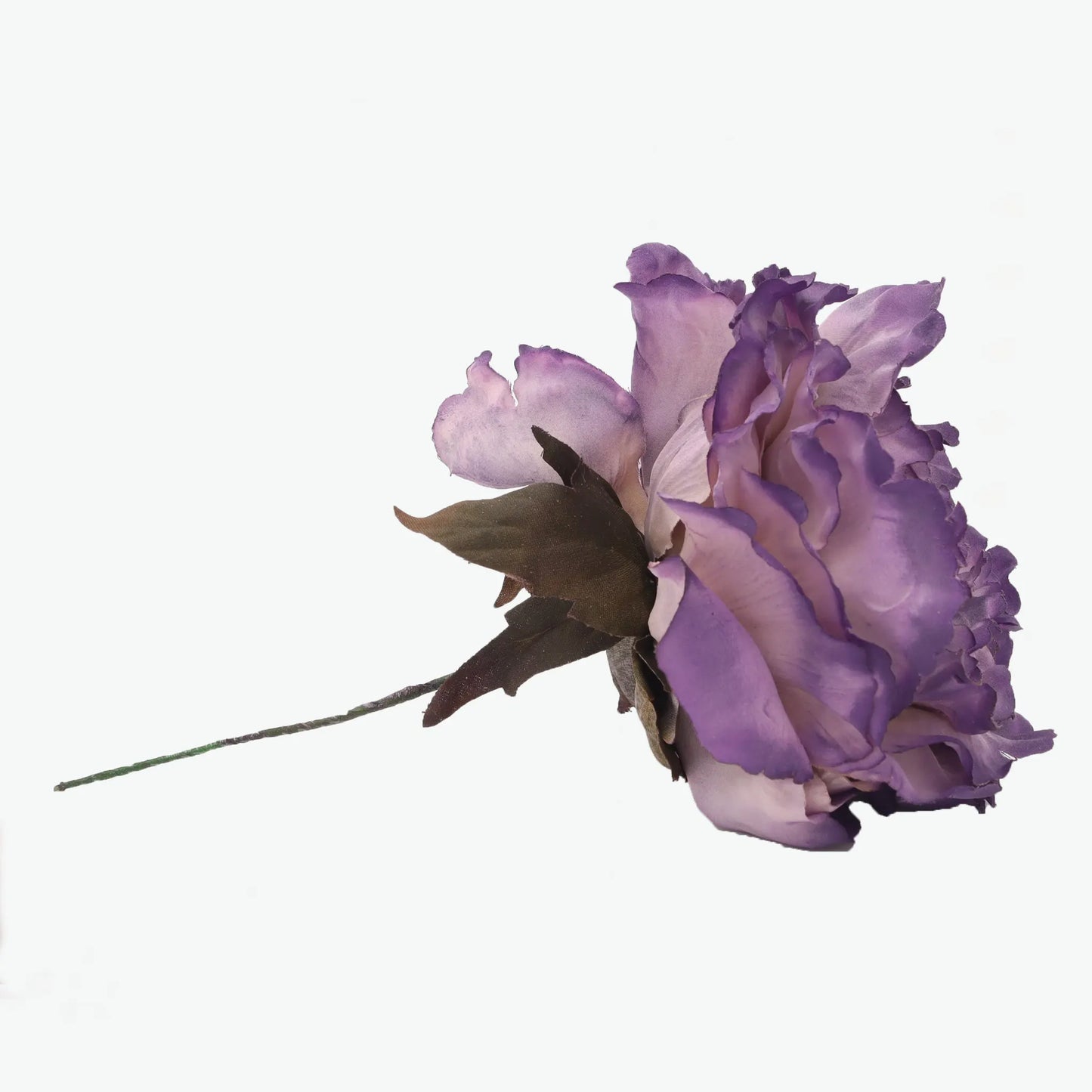 Dyed peony flowers