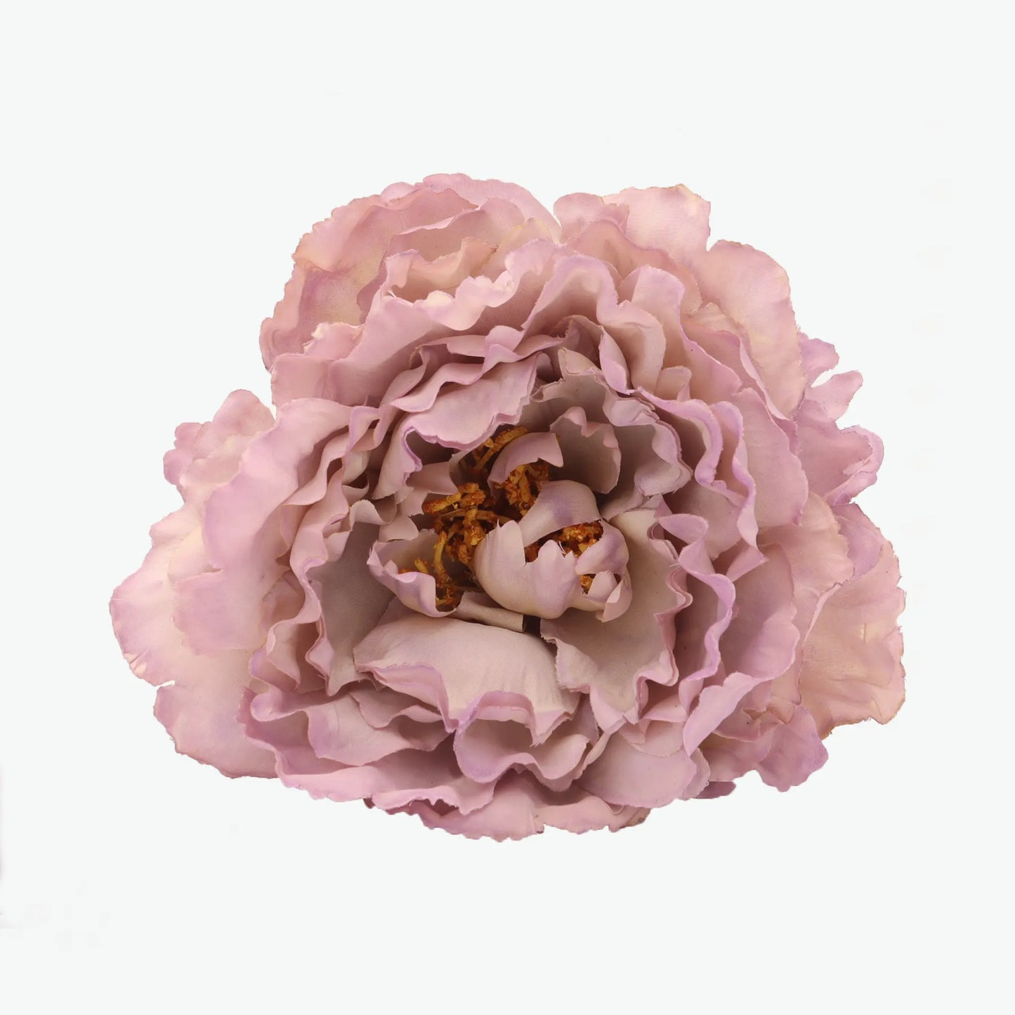 Dyed peony flowers