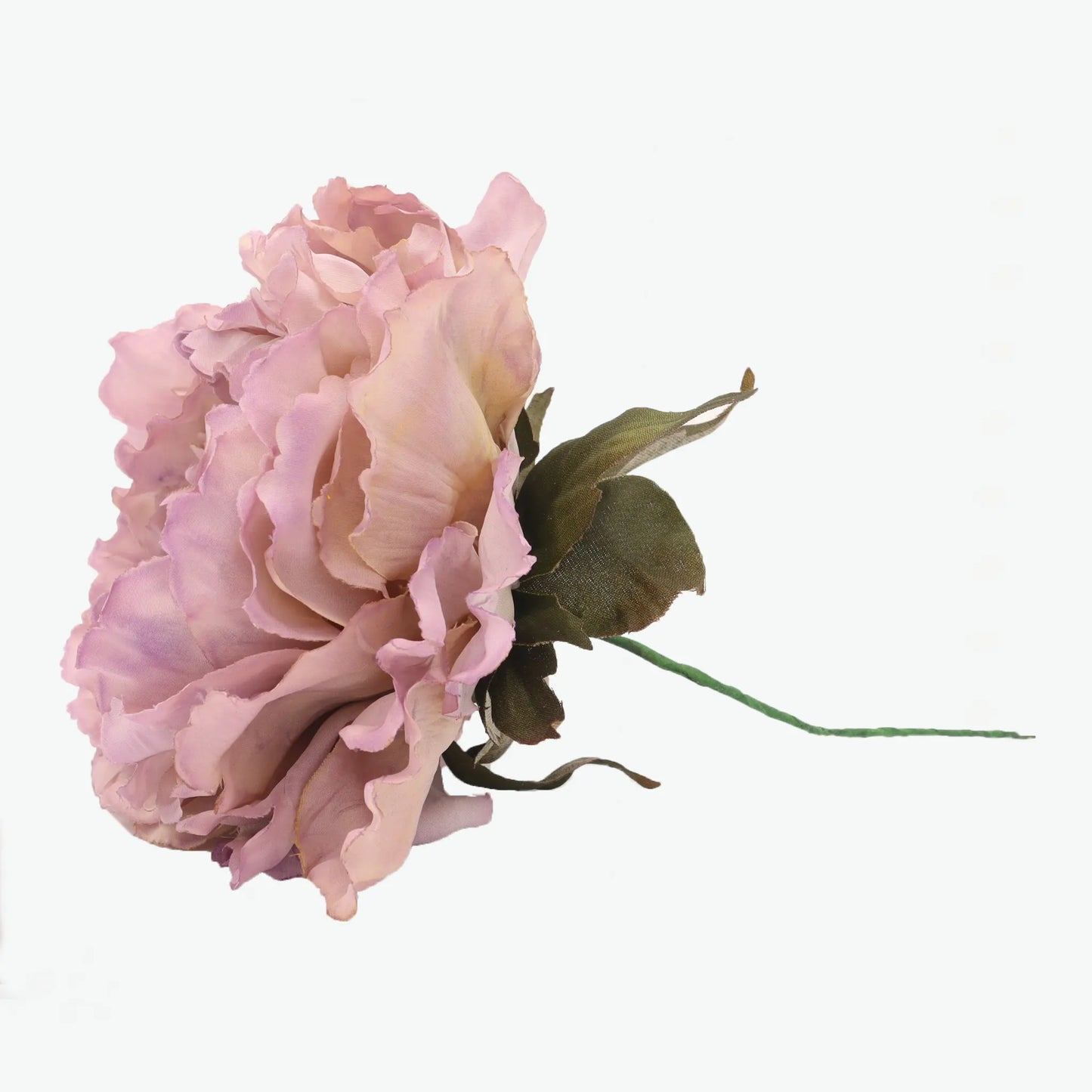 Dyed peony flowers