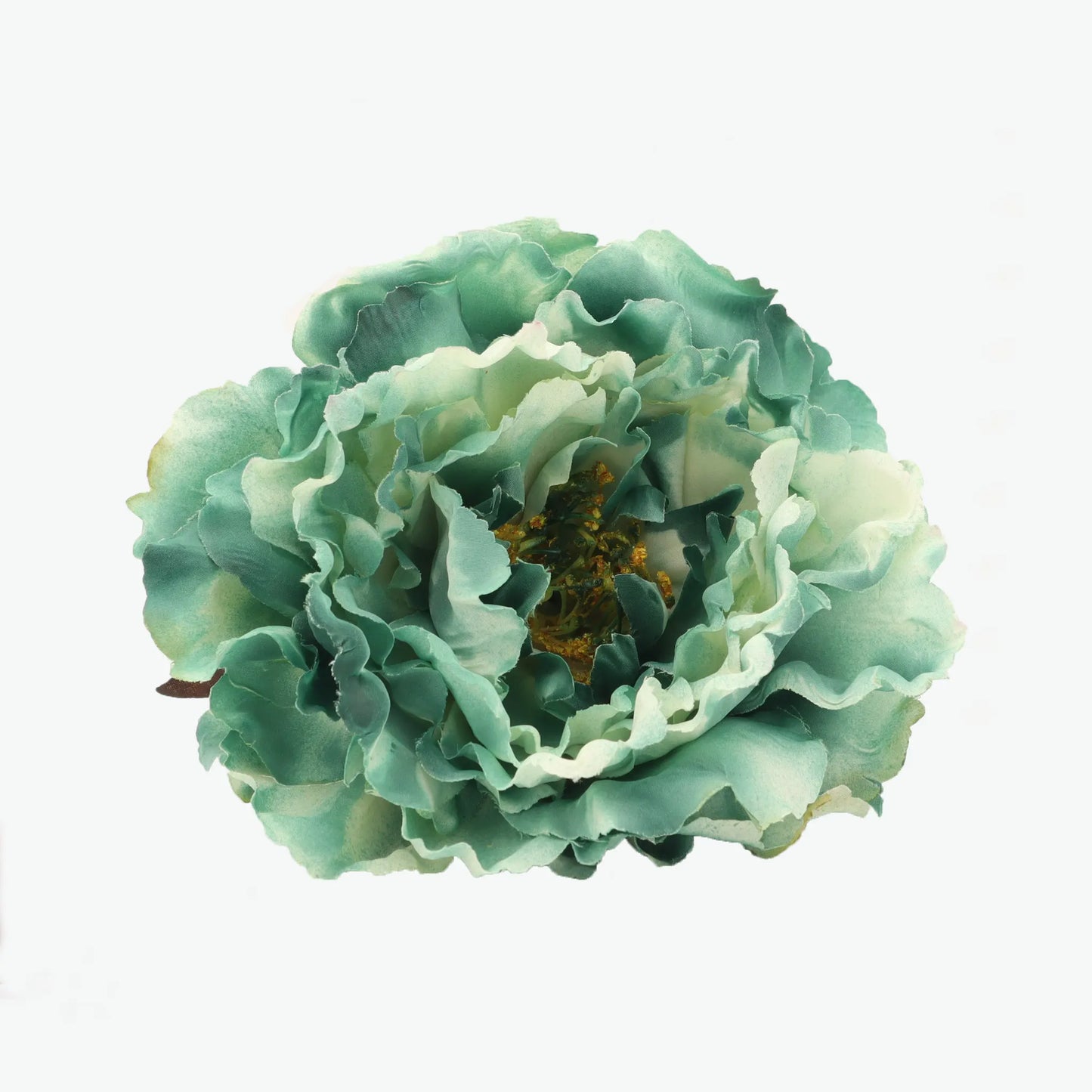 Dyed peony flowers