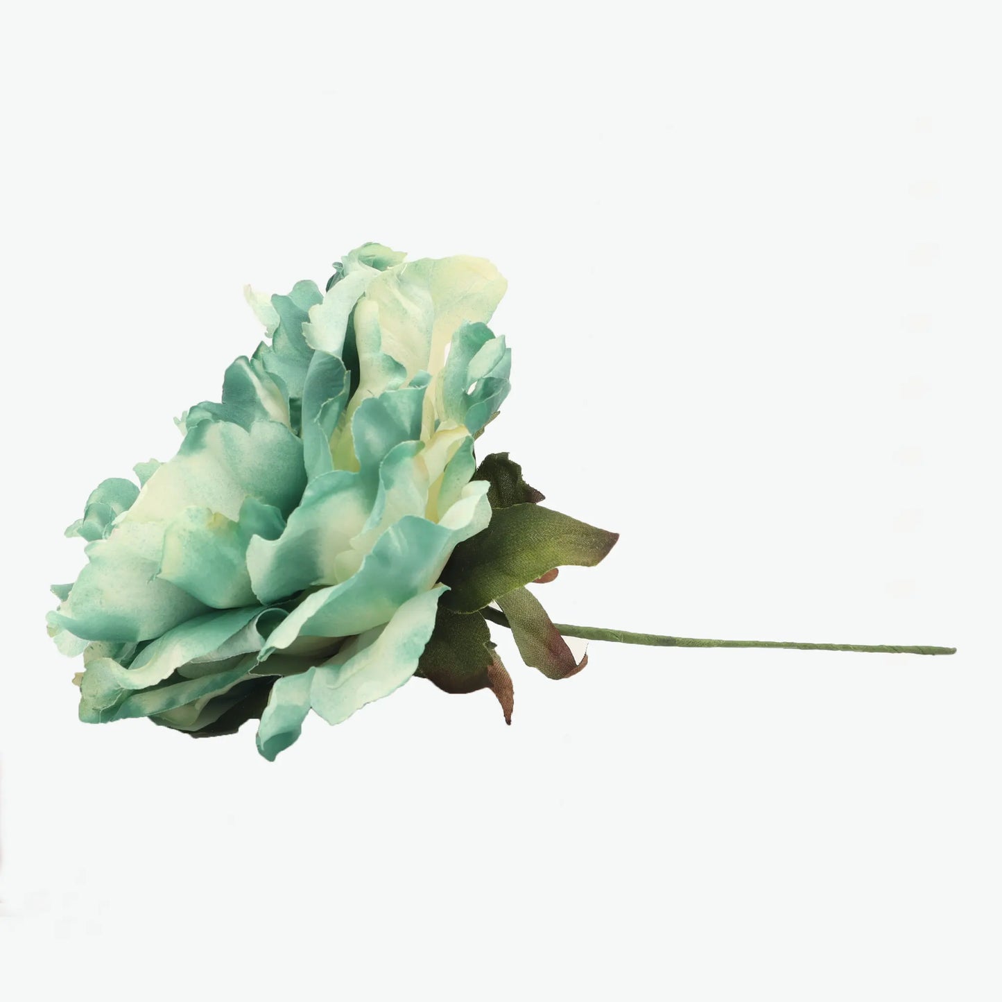 Dyed peony flowers