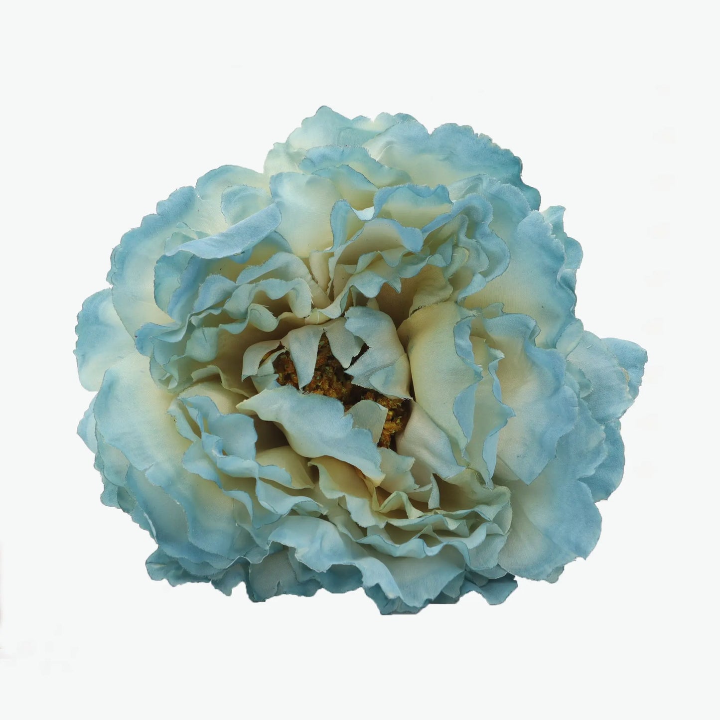 Dyed peony flowers