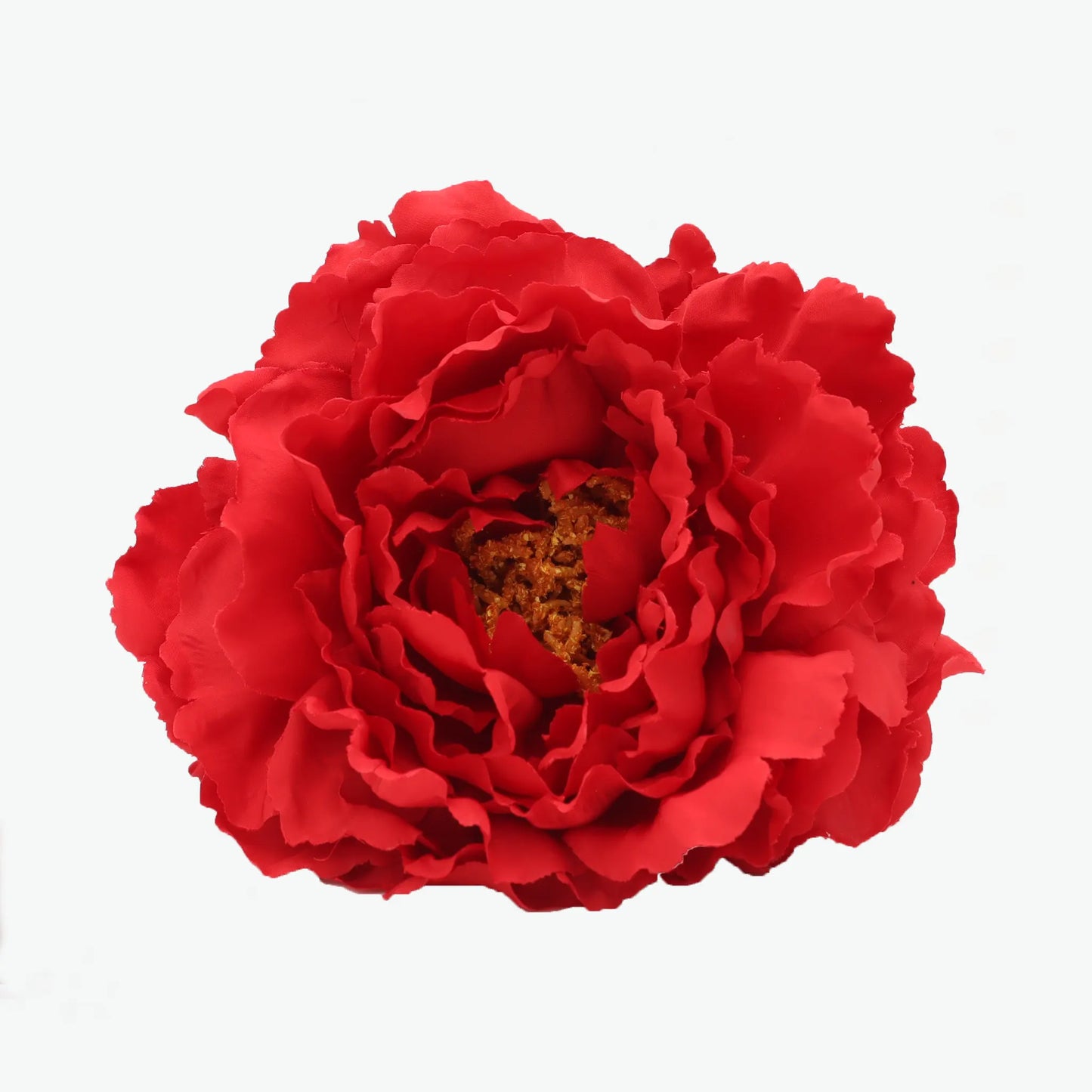 Dyed peony flowers