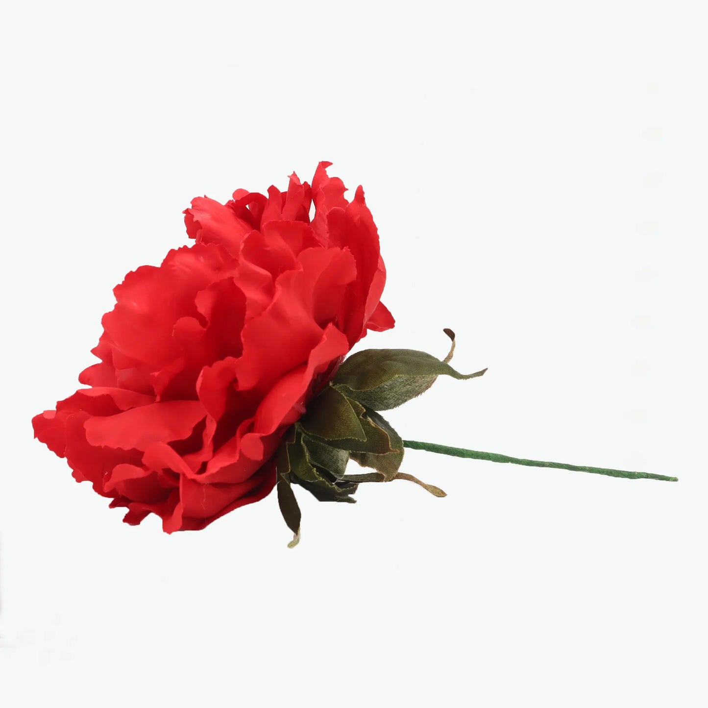 Dyed peony flowers