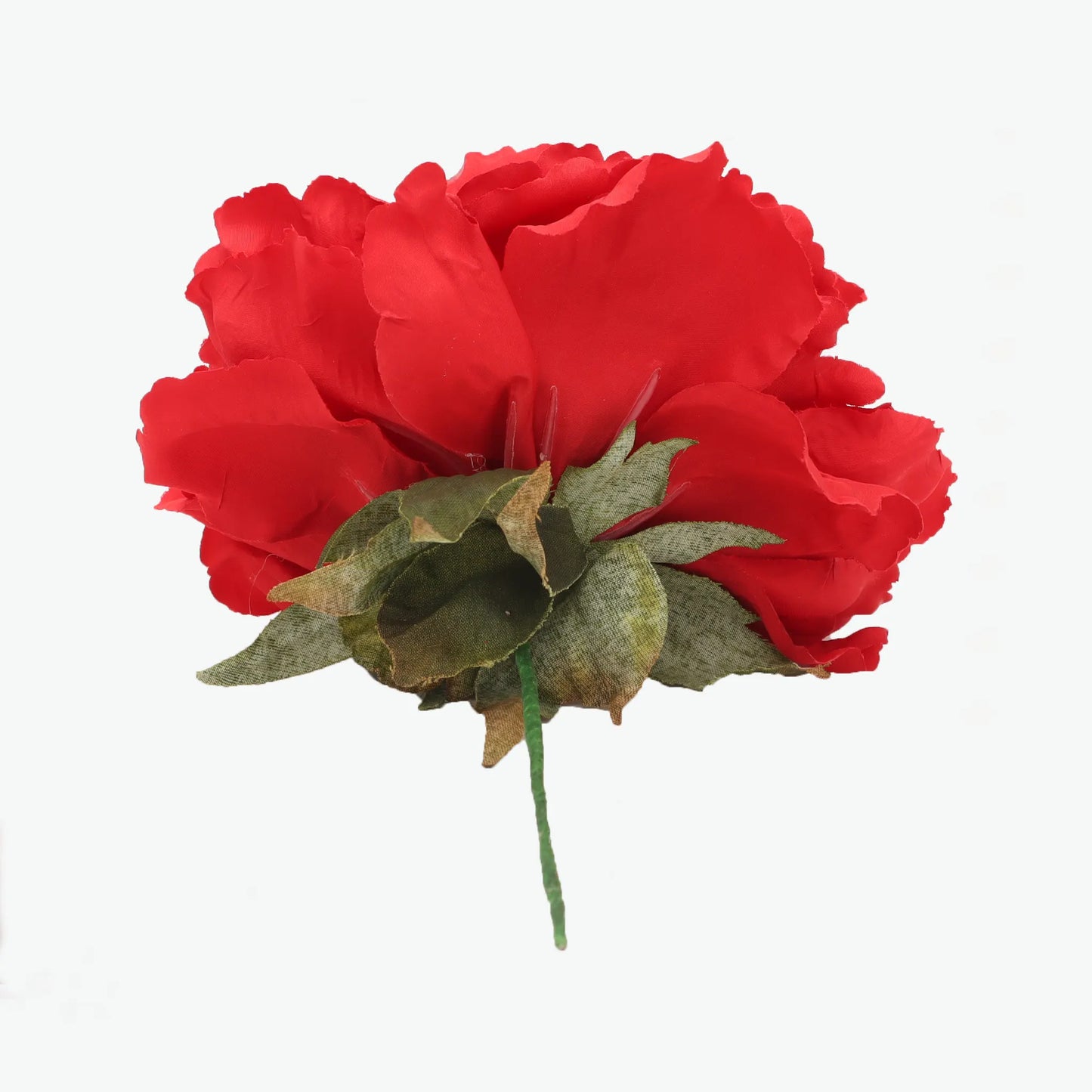Dyed peony flowers