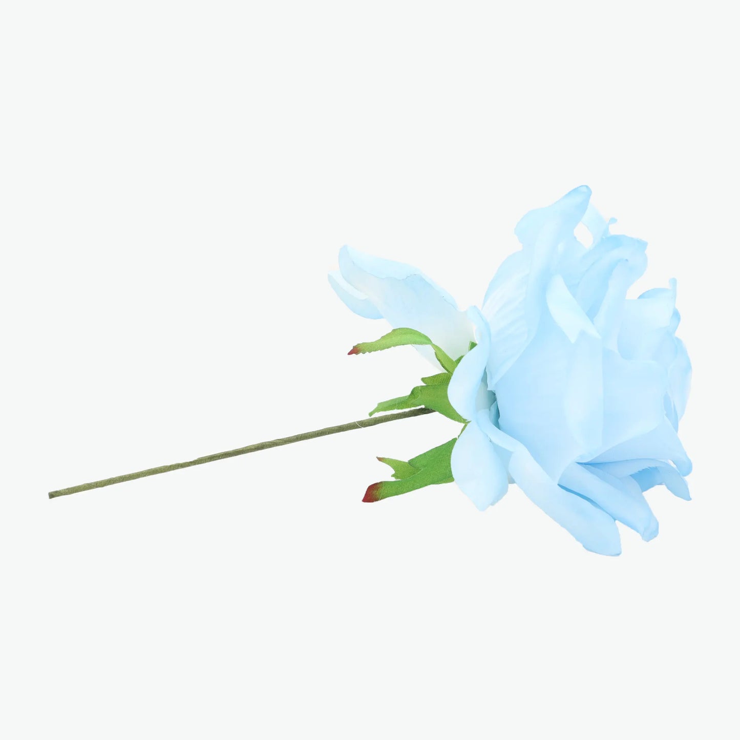 rose madeira