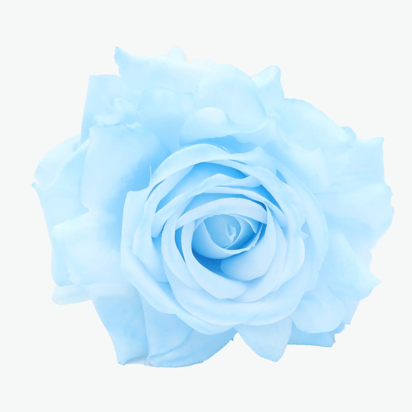 rose madeira