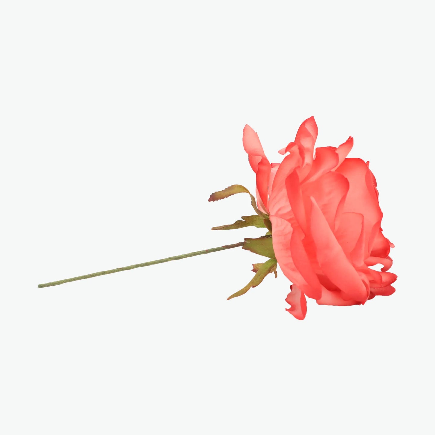 rose madeira