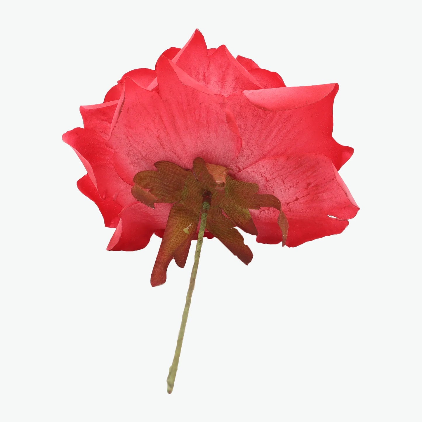 rose madeira