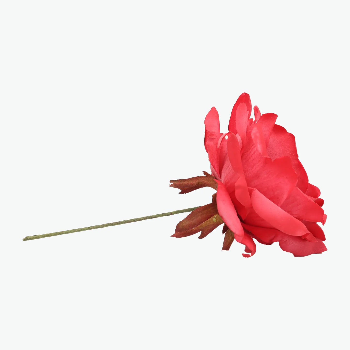 rose madeira