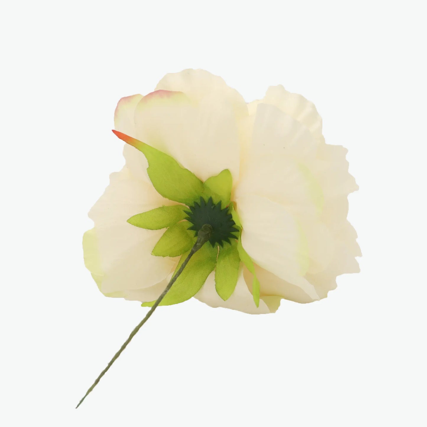 Nueva Peonia