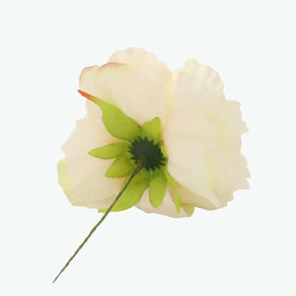 Nueva Peonia