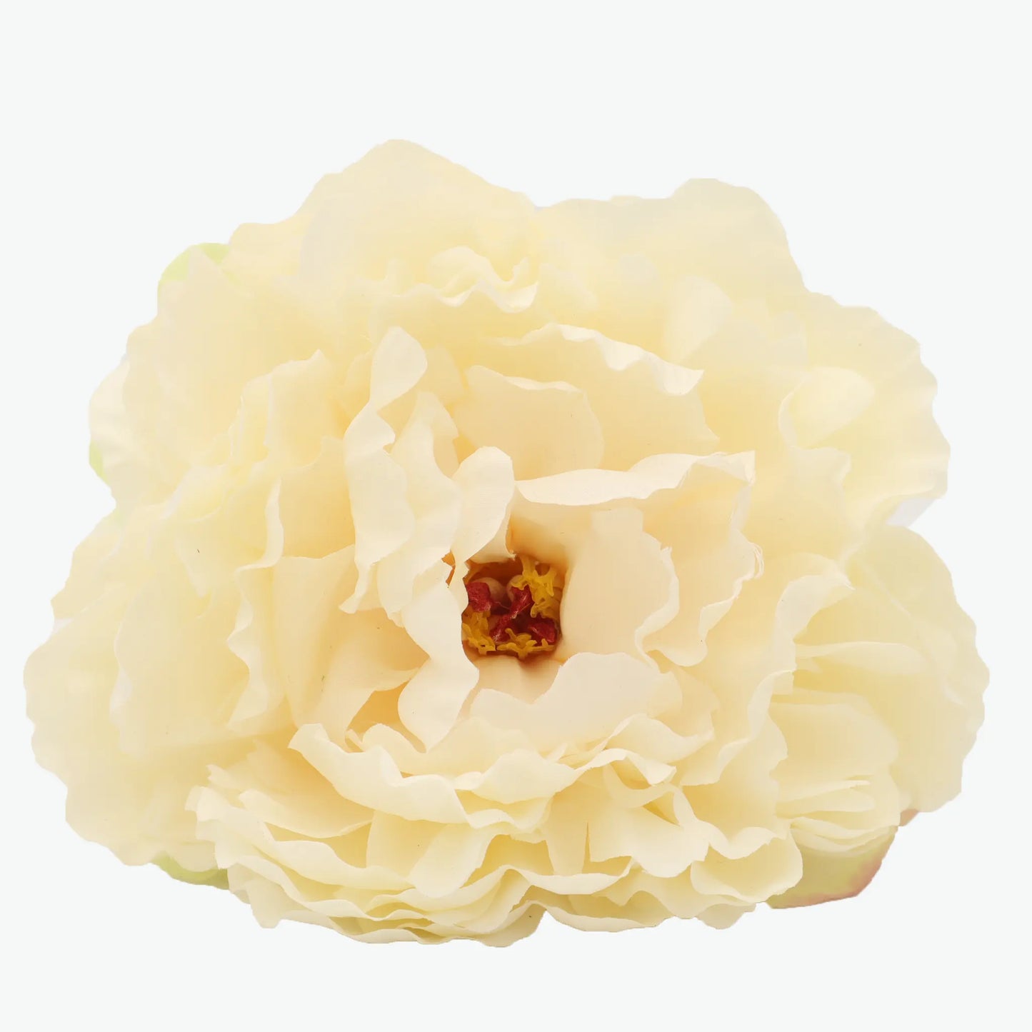 Nueva Peonia