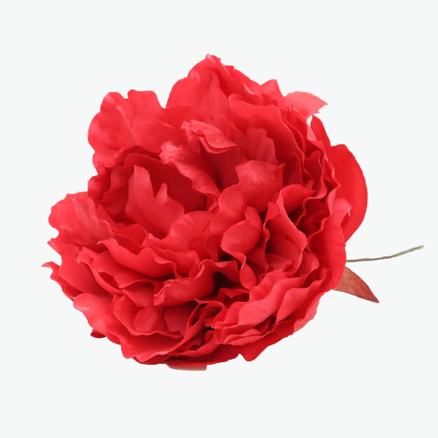 Nueva Peonia