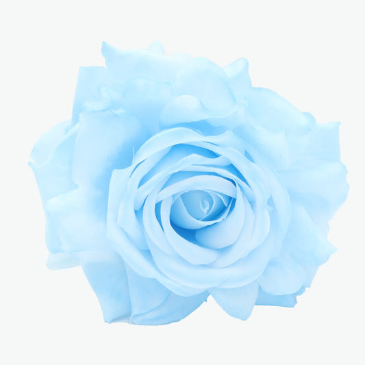 rose madeira