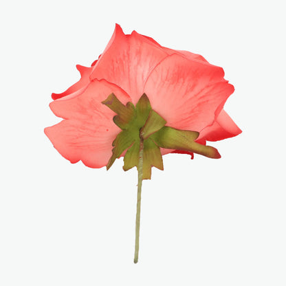 Nueva Peonia