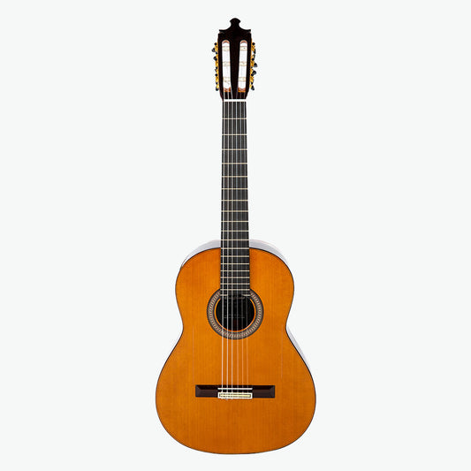 Special Artisan Guitar 10 concert - Alvarez&amp;Bernal