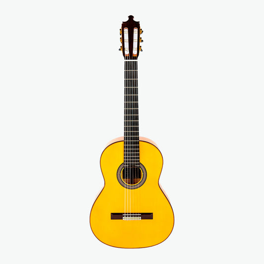 Special Handcrafted Guitar 10 fl - Alvarez&amp;Bernal