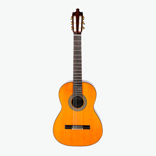 Special Flamenco Artisan Guitar 5 - Alvarez&amp;Bernal